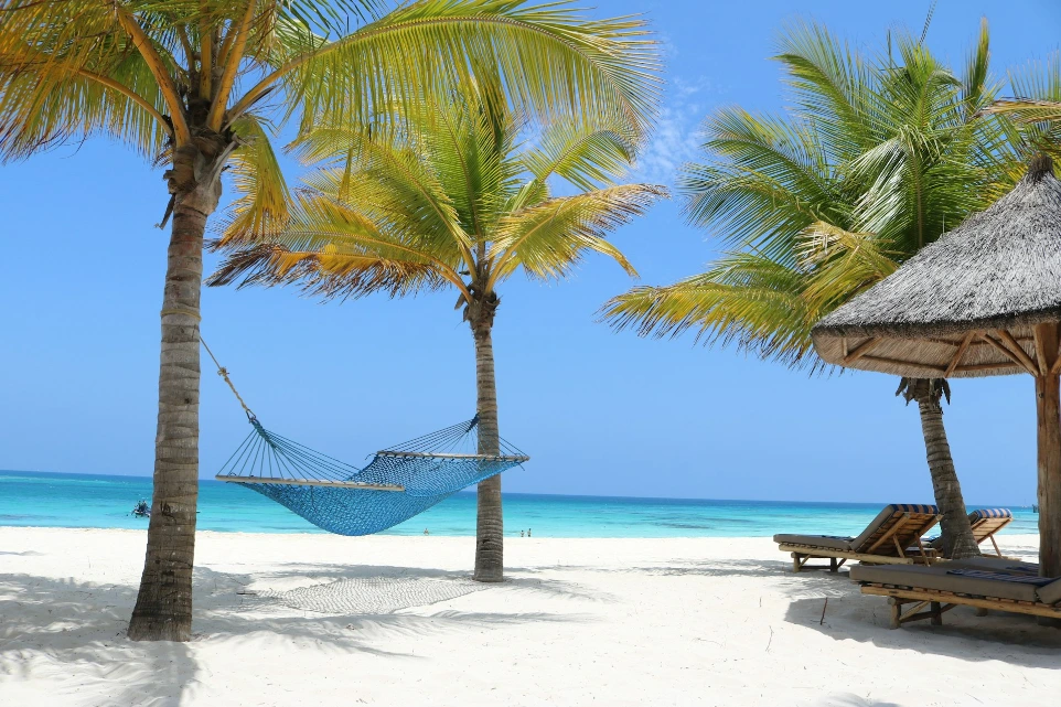 a hammock between two palm trees on a beach