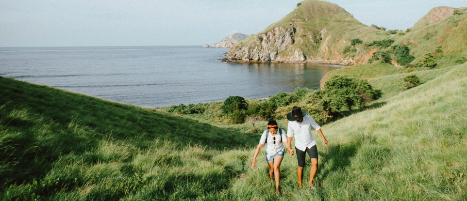 landscape photo of couple walking on green grass
